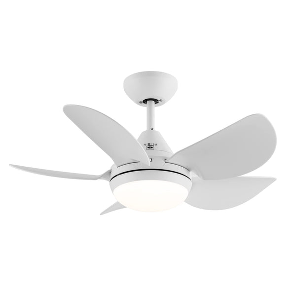 Minmup 30 Inch White Ceiling Fans with Lights and Remote with 5 Reversible Blades, Noiseless DC Motor Ceiling Fan with 3 Speeds, Timer for Living Room, Bedroom, Patio