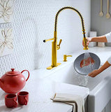 Kohler Sous Pro-Style-Single Handle Pull Down Sprayer Kitchen Faucet in Vibrant Brushed Moderne Brass