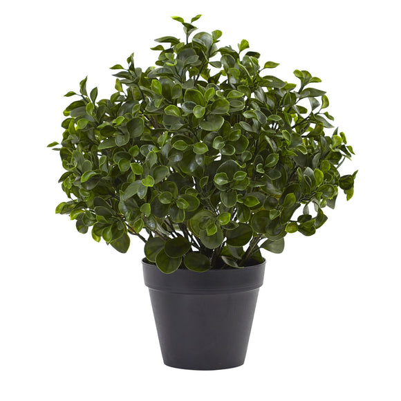 Nearly Natural 23in Peperomia Plant UV Resistant (Indoor/Outdoor)