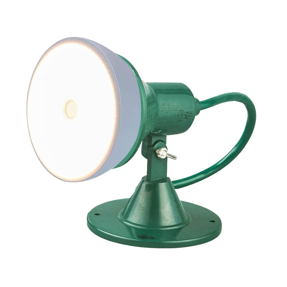 Go Green Power (GG-36001) Indoor/Outdoor Floodlight Holder Kit, Ground Spike and Flat Screw Plate Included, 6 Ft Cord, Green