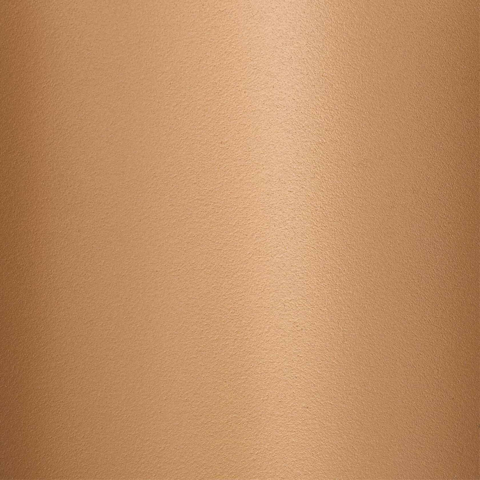 Westinghouse 6575900 Sirino One-Light Indoor Wall Fixture, Matte Black Finish