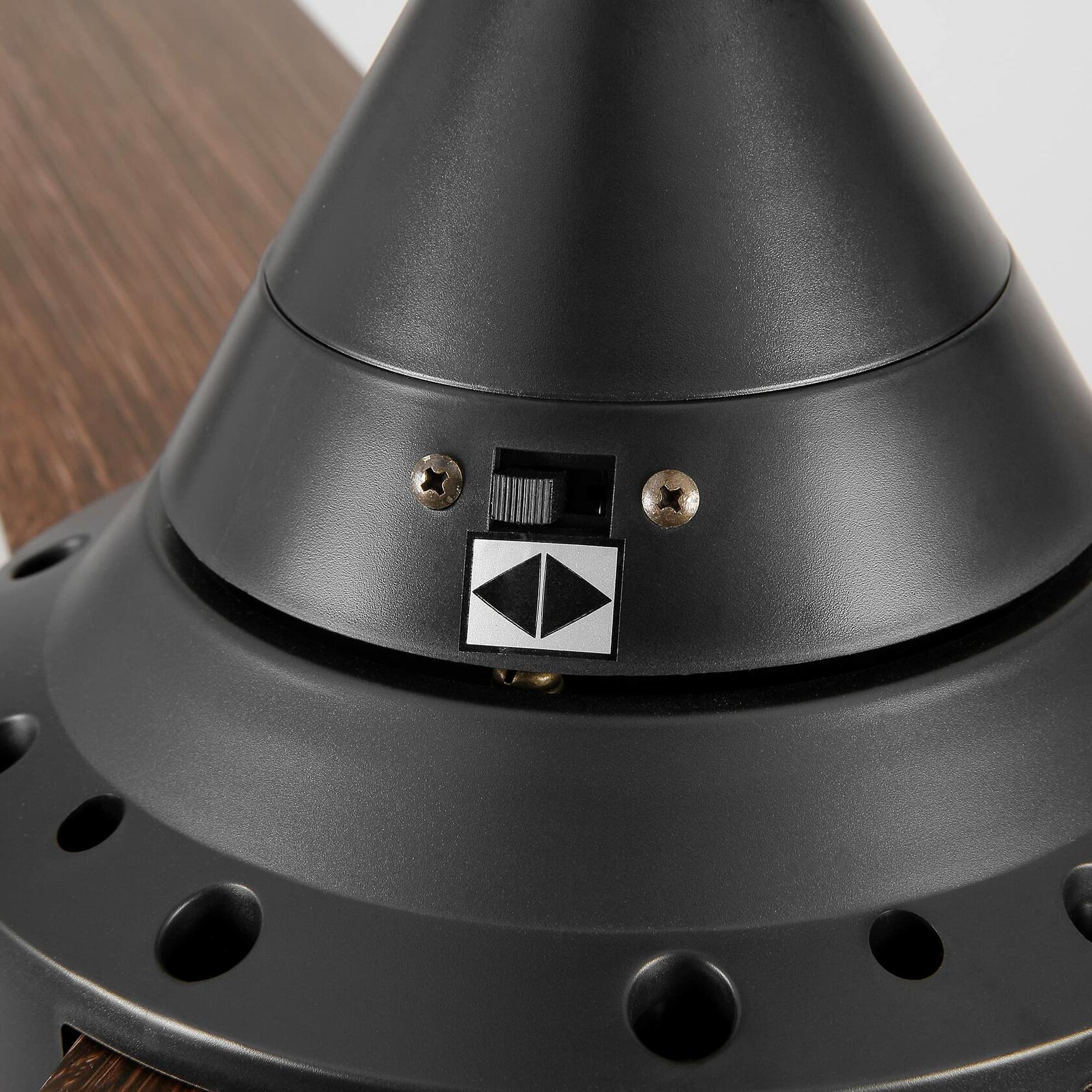 Teemful 48 Inch Ceiling Fans with Lights Remote Control, 5 Reversible Blade,