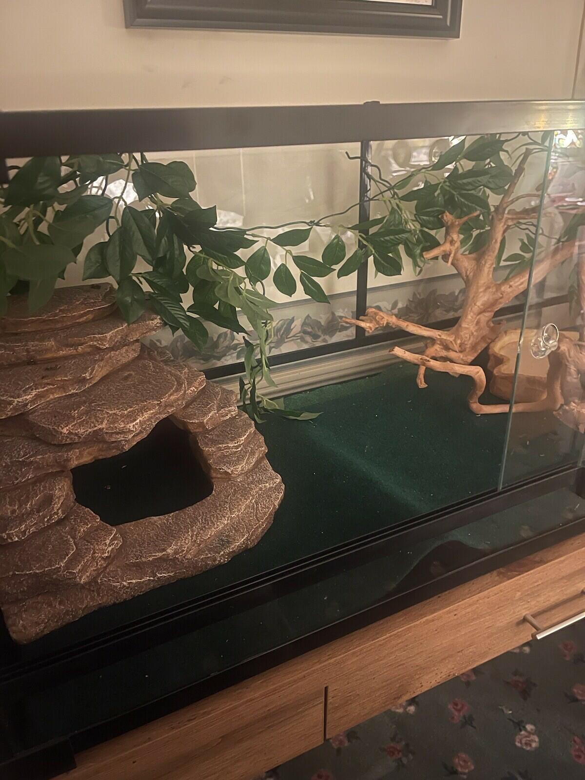67 gallon reptile terrarium
