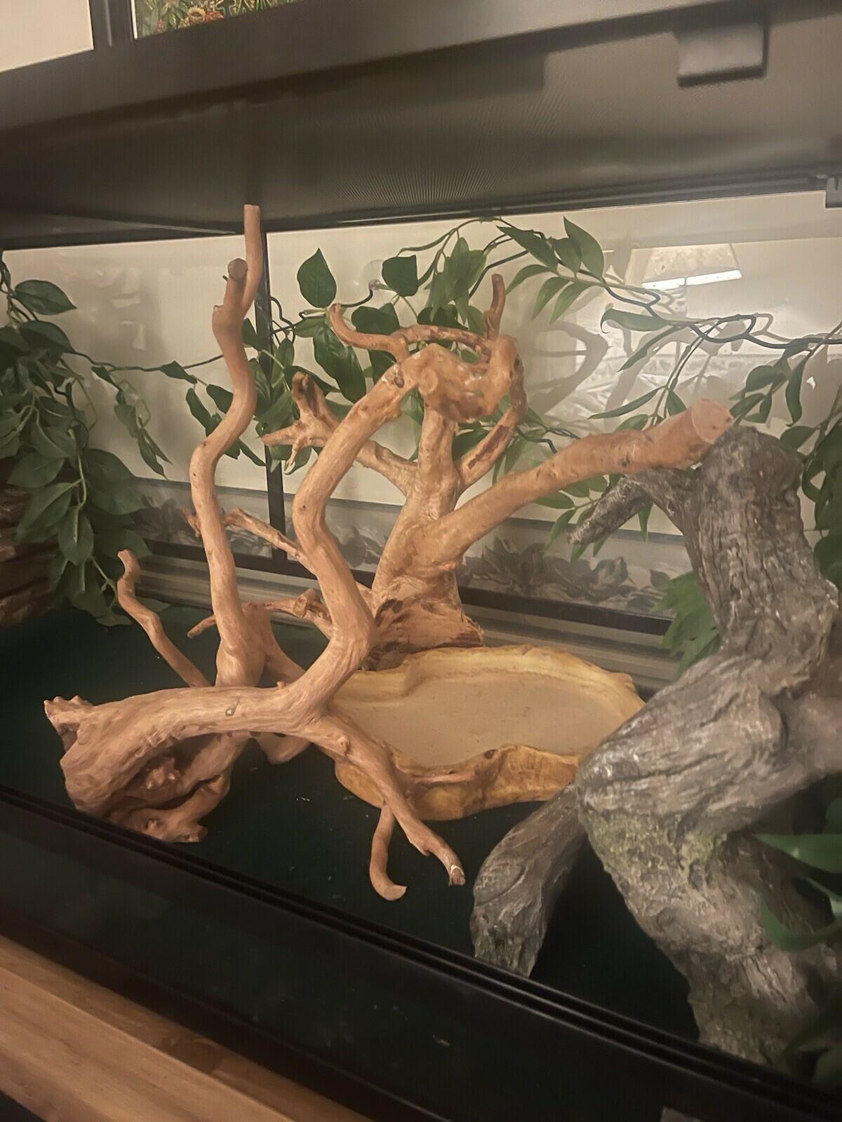 67 gallon reptile terrarium