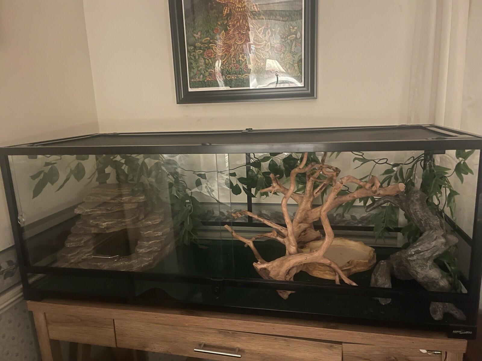 67 gallon reptile terrarium
