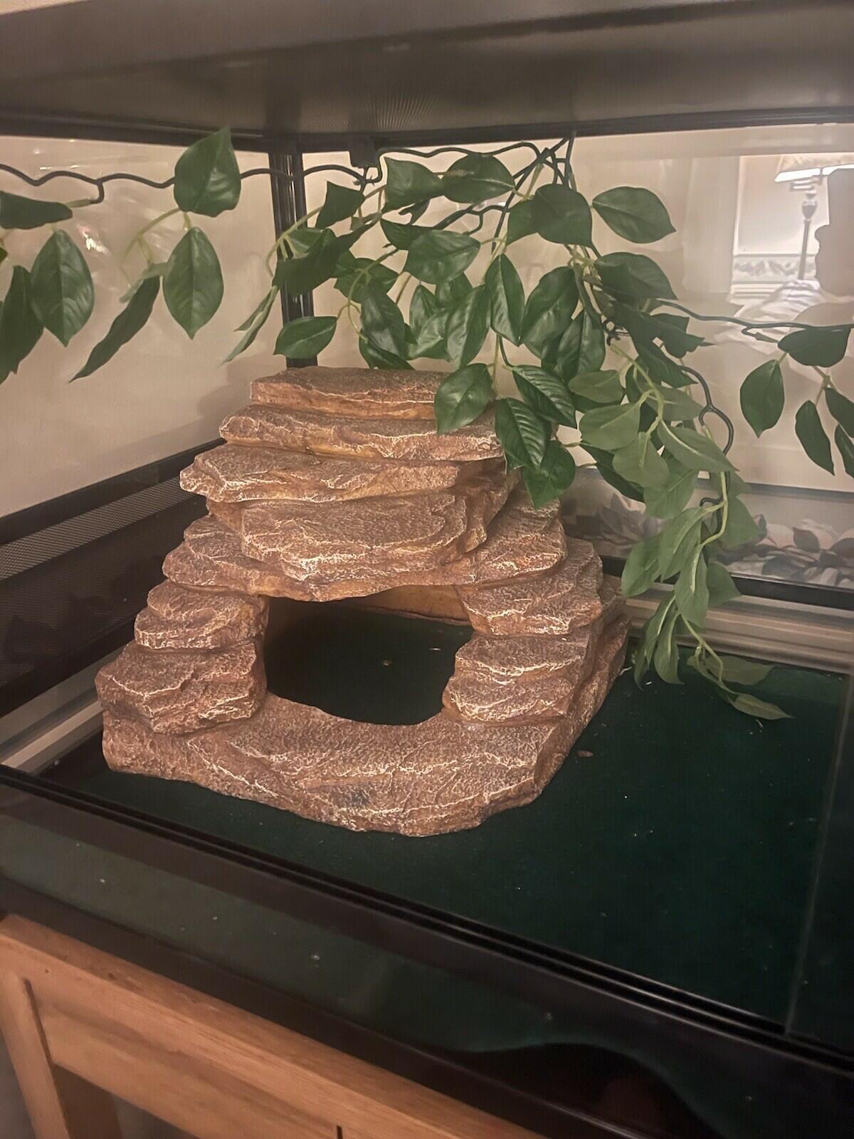 67 gallon reptile terrarium
