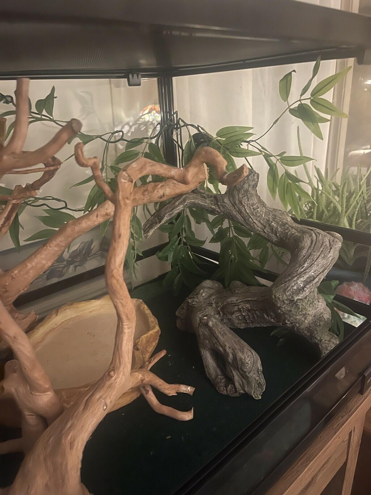 67 gallon reptile terrarium