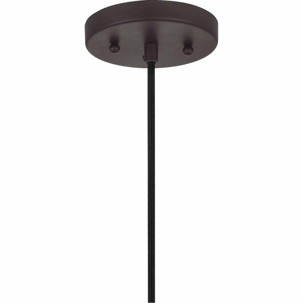 Quoizel LEOC1508OZ Leo Glass Mini Pendant Ceiling Light, 1-Light 100 Watt, Old