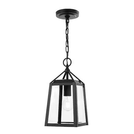 Blakeley Transitional 1-Light Black Outdoor Hanging Pendant with Beveled Glass