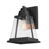 Donahue 1-Light Matte Black Hardwired Outdoor Indoor Wall Lantern Sconce with Clear Glass Shade