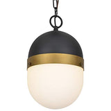 Designer Brian Patrick Flynn's Capsule 1 Light Matte Black & Textured Gold Pendant
