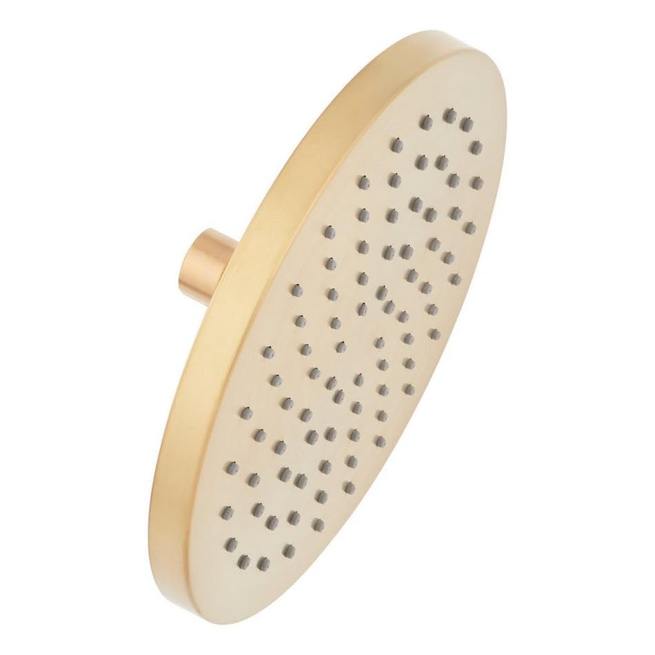 Signature Hardware 476850 1.8 GPM Single Function Rain Shower Head, Brushed Gold