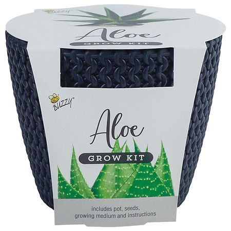 Buzzy Woven Grow Pot Aloe - Guaranteed to Grow