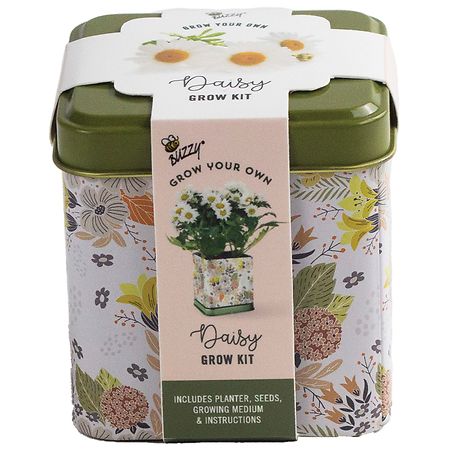 Buzzy Square Grow Tin - Daisy - 1.0 ea