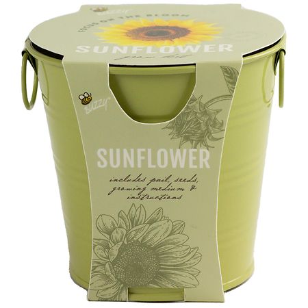 Buzzy Flower Grow Pail - Sunflower - 1.0 ea