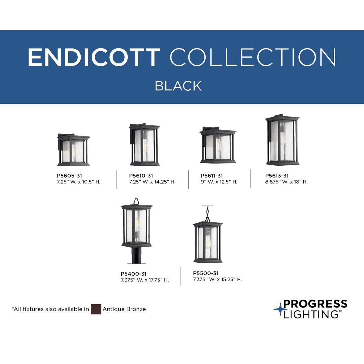 Progress Lighting P5400-31 Endicott Outdoor, Black