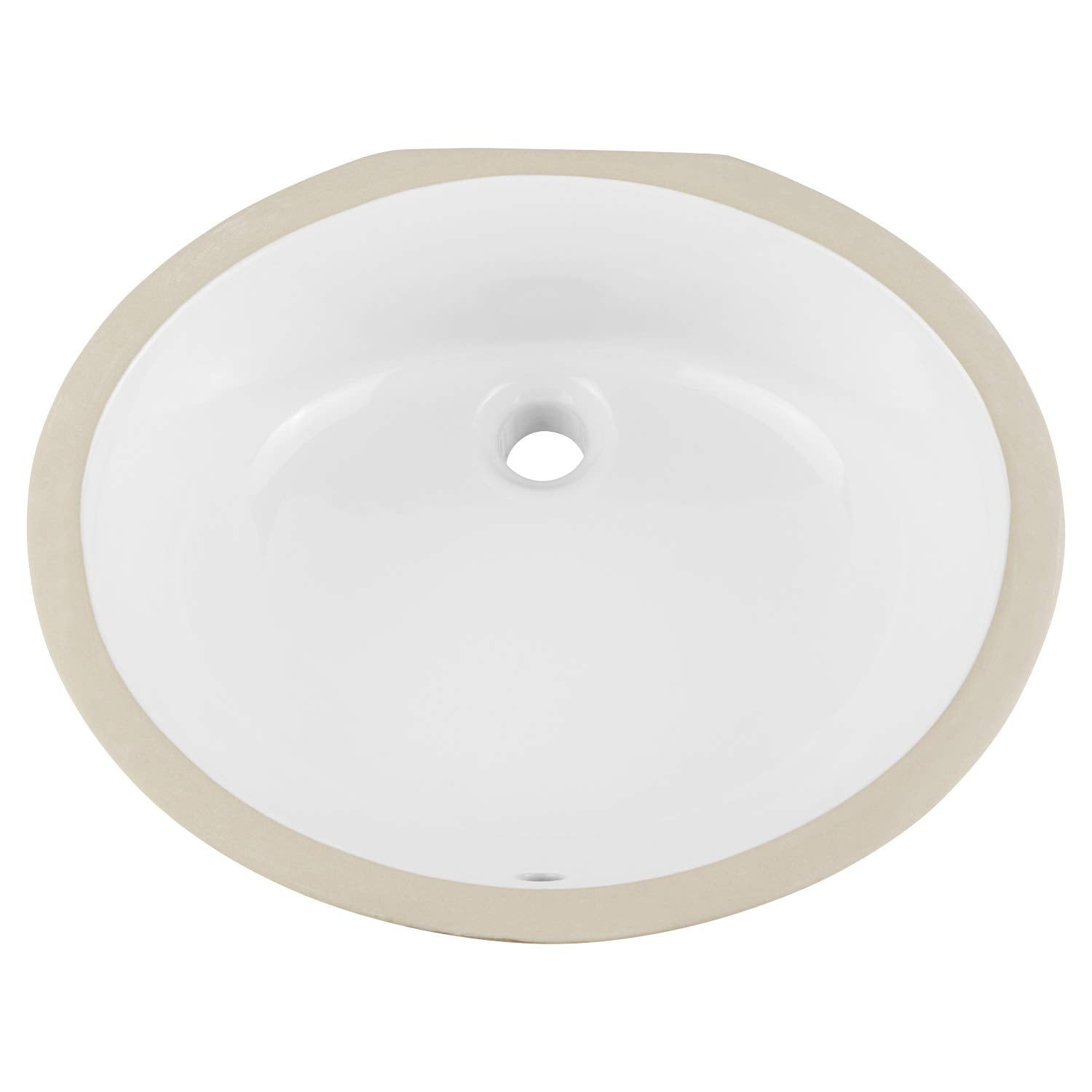 Signature Hardware 447970 Mangrove 20" Vitreous China Undermount Bathroom Sink