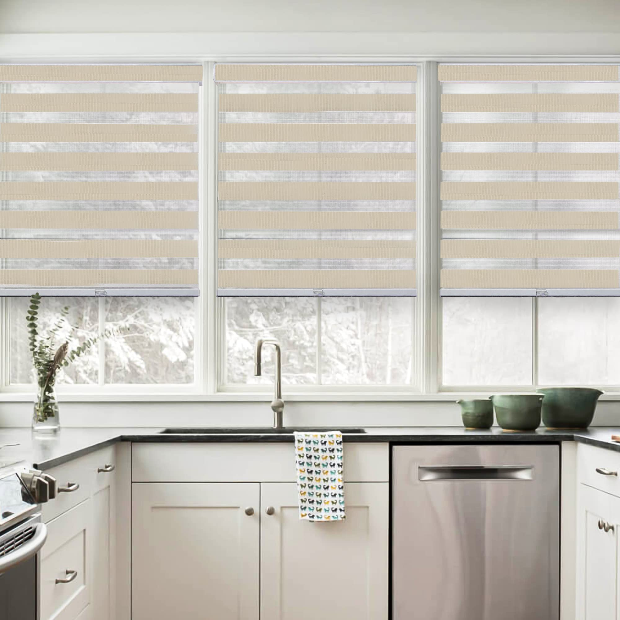 CHICOLOGY Zebra Blinds, Roller Window Shades, Blinds for Windows, Roller Shades for Windows, Window Shades for Home, Window Shades, Pull Down Shades for Windows, 41" W X 72" H, Basic Pearl