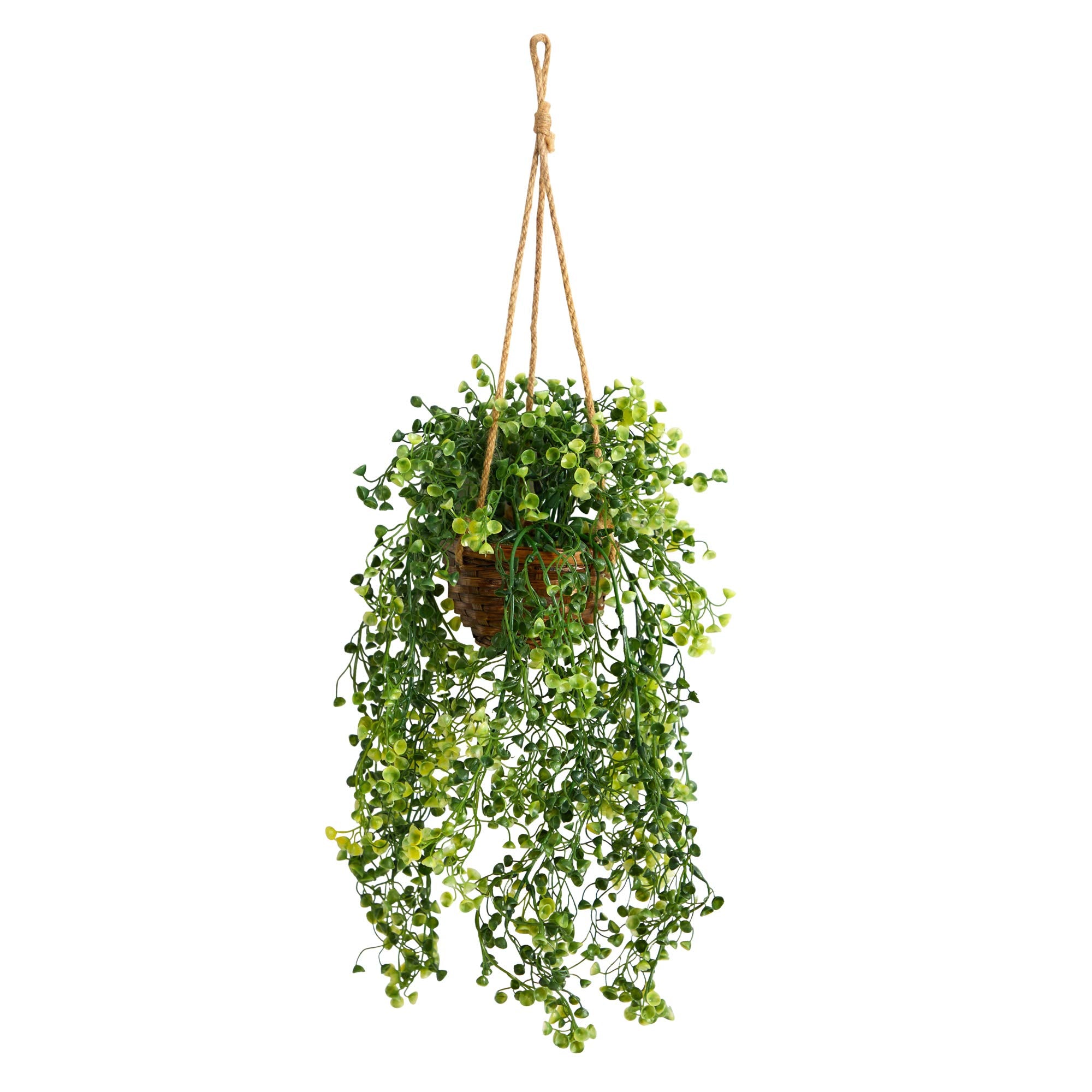 20in. Baby Tear Artificial Plant in Hanging Basket