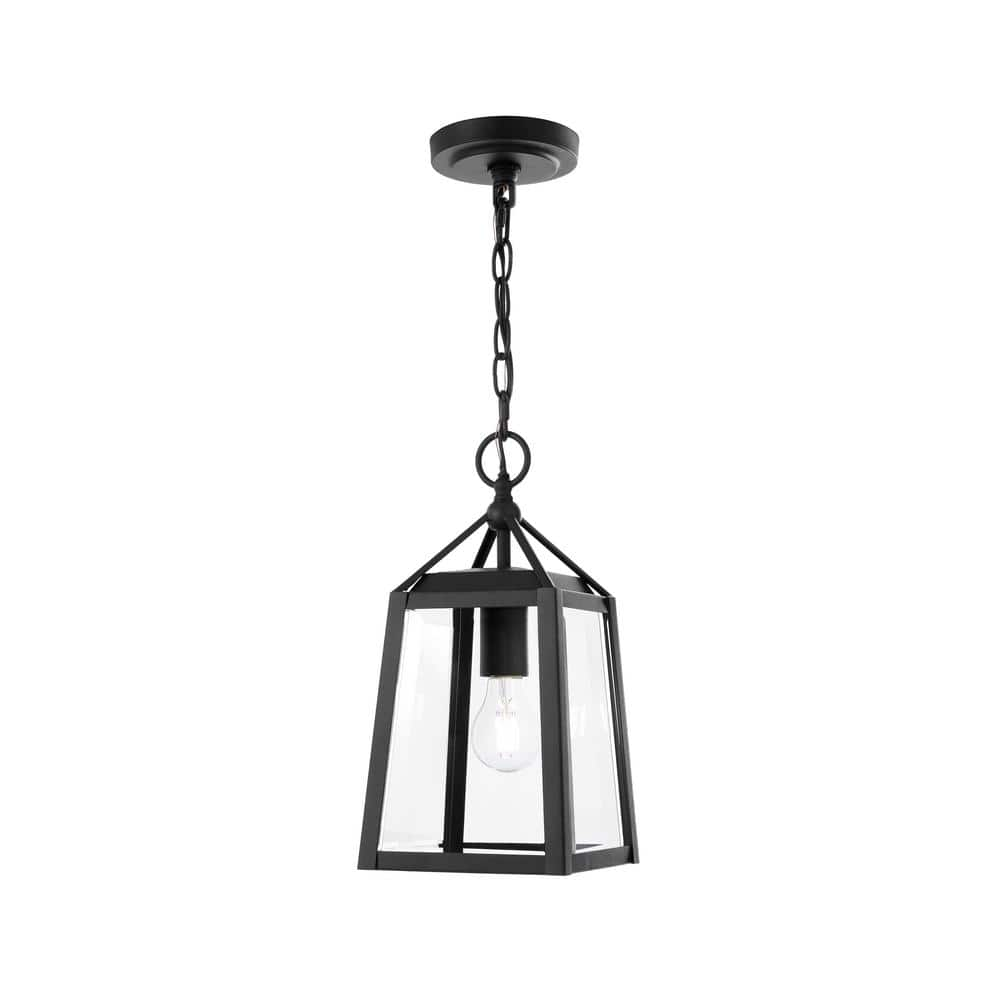 Blakeley Transitional 1-Light Black Outdoor Hanging Pendant with Beveled Glass