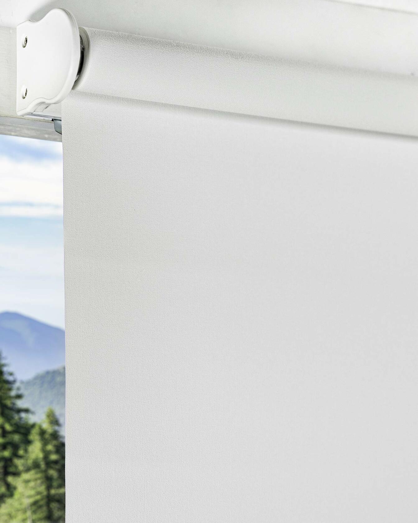 CHICOLOGY Roller Window Shades , Window Blinds , Window Shades for Home , Roller Shades , Window Treatments , Window Blinds Cordless , Door Blinds , Byssus White (Blackout), 27"W X 72"H