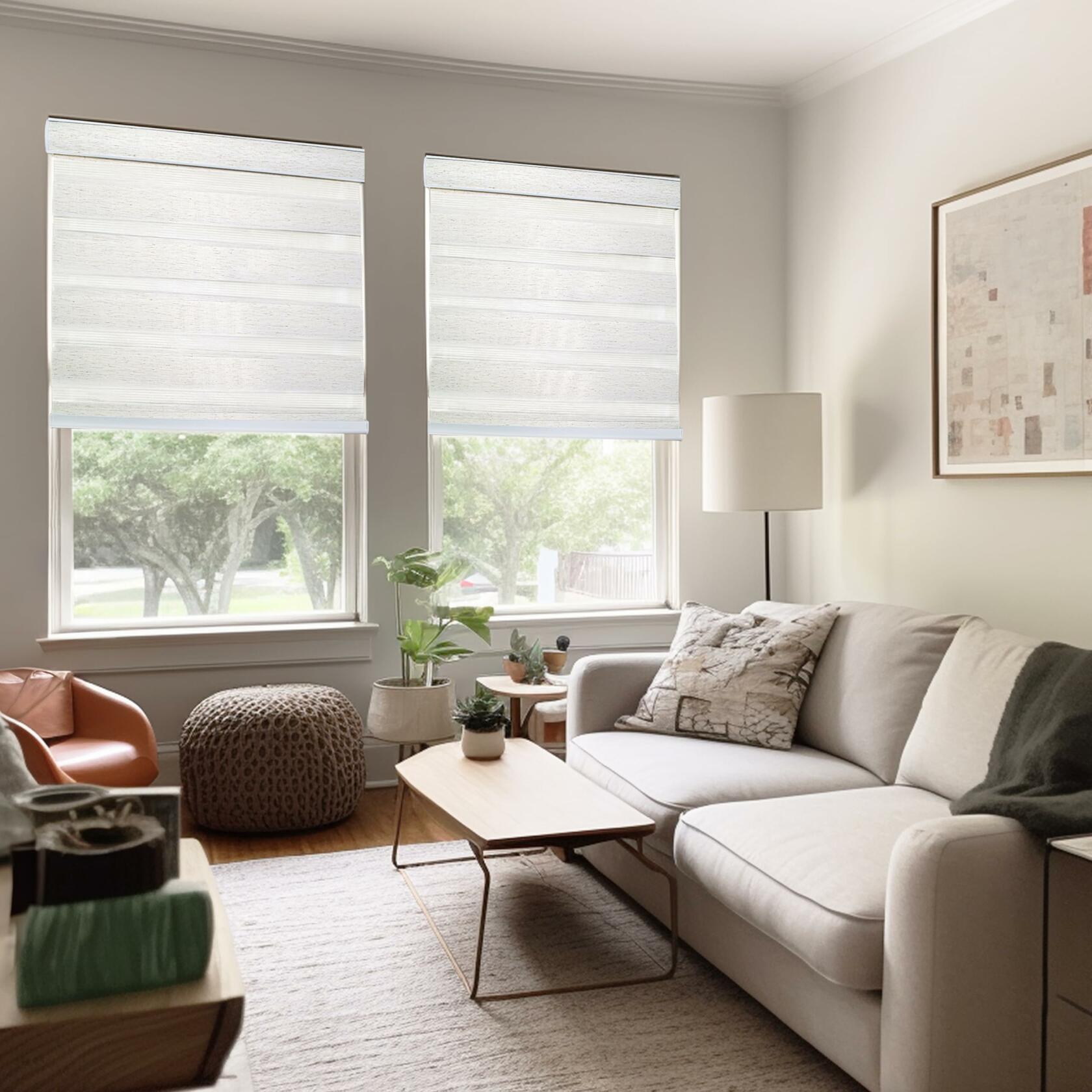 CHICOLOGY Zebra Blinds, Roller Window Shades, Blinds for Windows, Roller Shades for Windows, Window Shades for Home, Window Shades, Pull Down Shades for Windows, 21" W X 72" H, Basic Natural