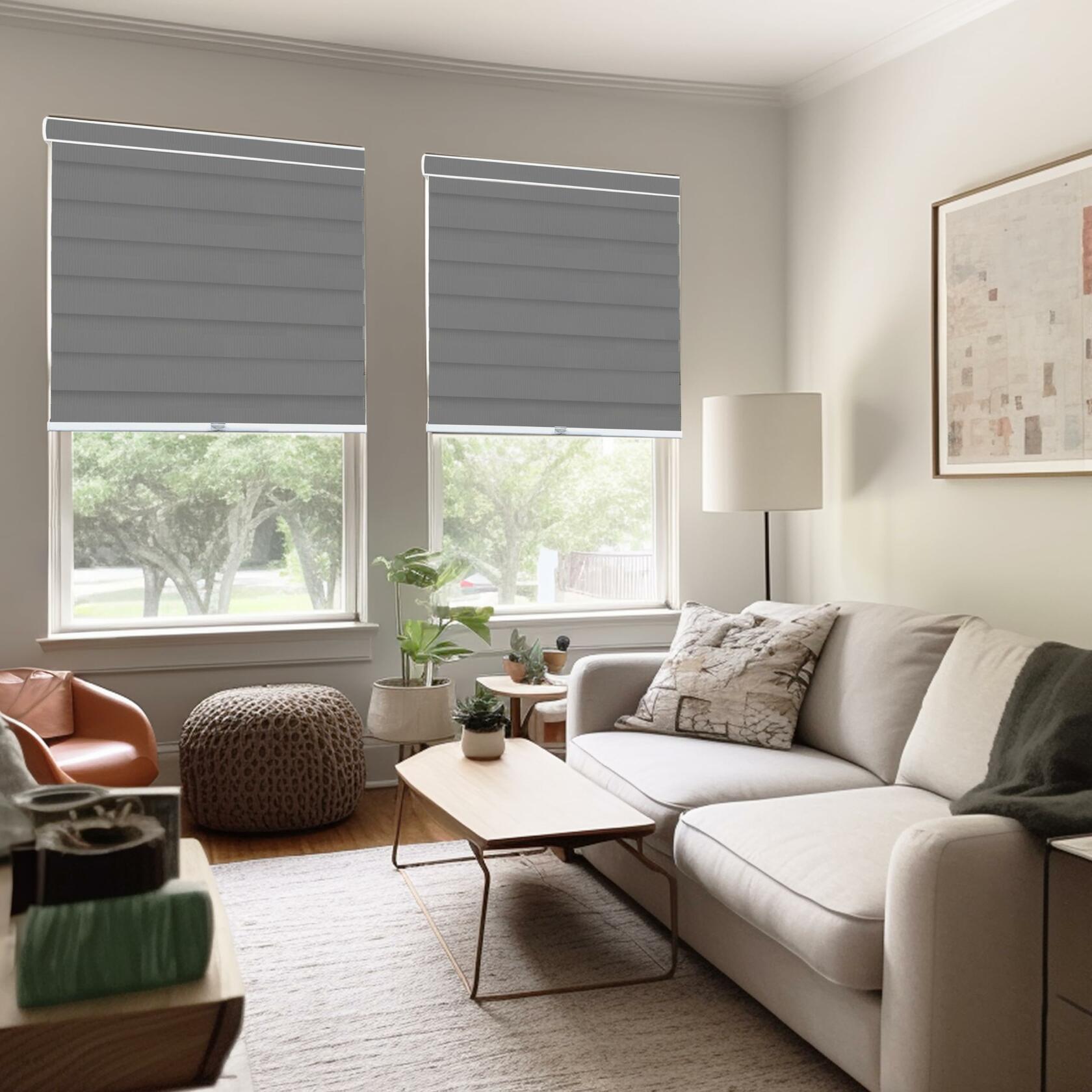 CHICOLOGY Zebra Blinds , Roller Window Shades , Blinds for Windows , Roller Shades for Windows , Window Shades for Home , Window Shades , Pull Down Shades for Windows , 52"W X 72"H , Basic Slate