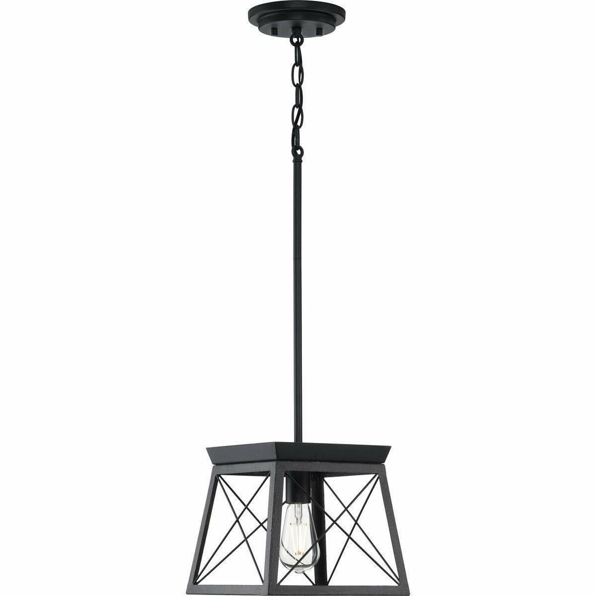 Progress Lighting P500041-031 Briarwood Pendants, Ceruse Black 9.00x10.00x10.00