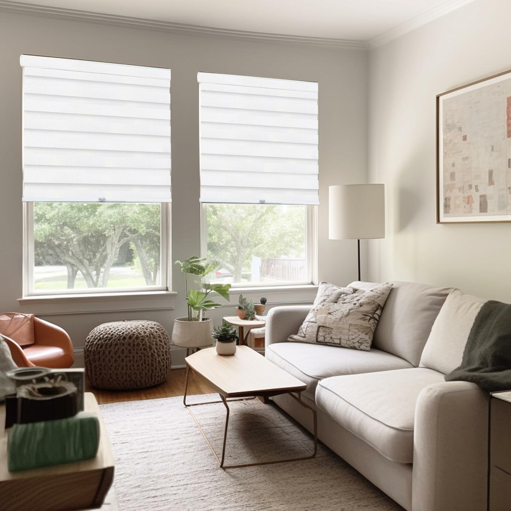 CHICOLOGY Zebra Blinds , Roller Window Shades , Blinds for Windows , Roller Shades for Windows , Window Shades for Home , Window Shades , Pull Down Shades for Windows , 39"W X 72"H , Basic Arctic