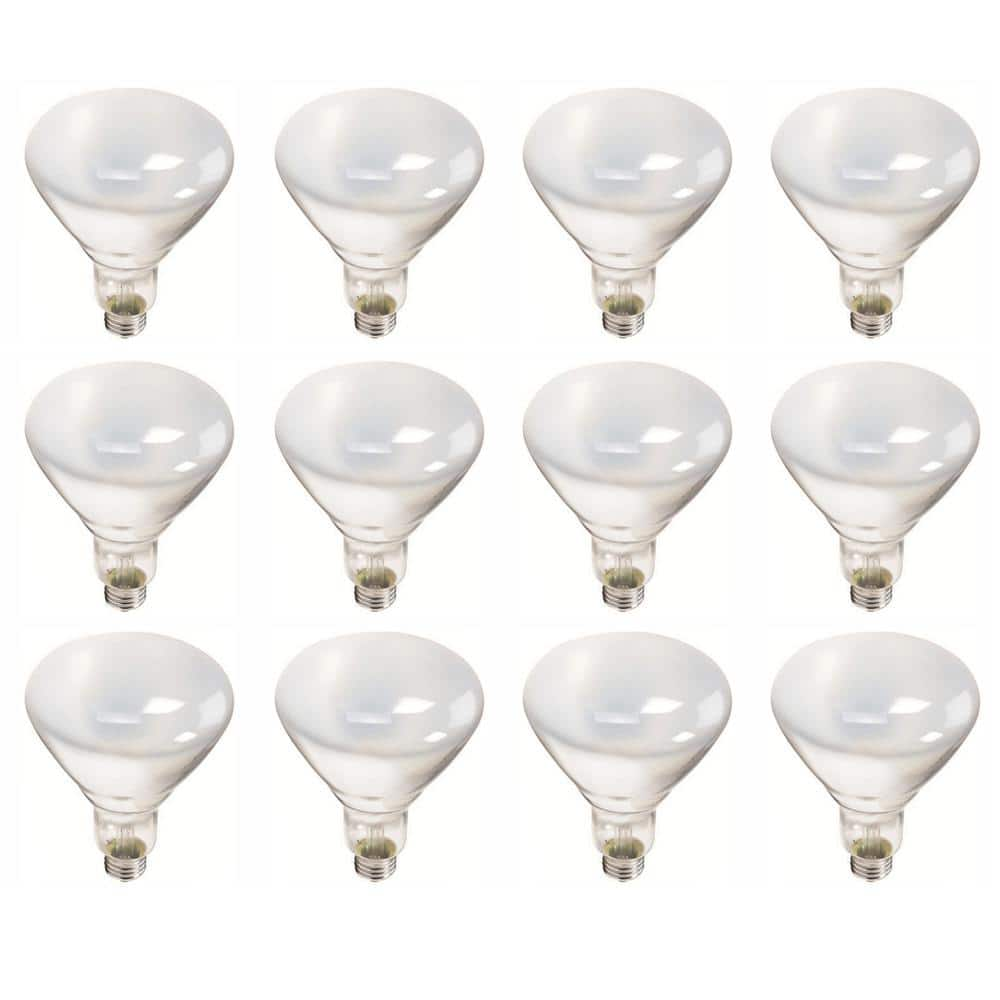 Philips 387795 Soft White 65-Watt BR40 Indoor Flood Light Bulb, 12-Pack